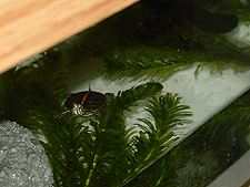 It's a big world out there!