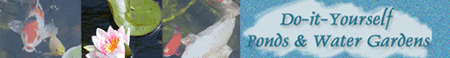 Do-It-Yourself Pond