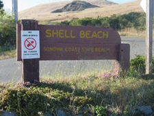 Shell Beach