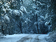 The road to Cow Mountain