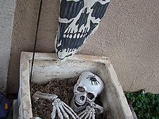 Some of the outdoor decorations.