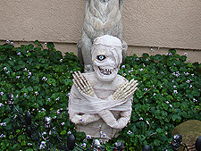 Some of the outdoor decorations.