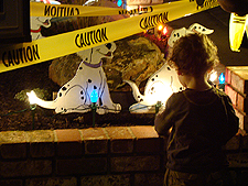 Ryder looking at Dalmations