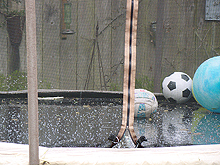 Hail on the trampoline