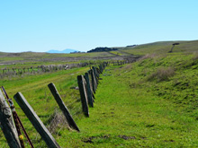 Tolay Lake Regional Park