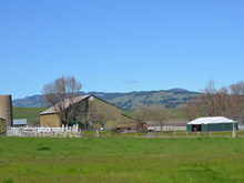 Tolay Lake Regional Park