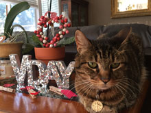 Valentine Decorations