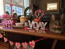 Valentine Decorations