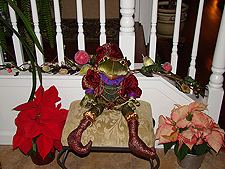 Pointsettias & frog